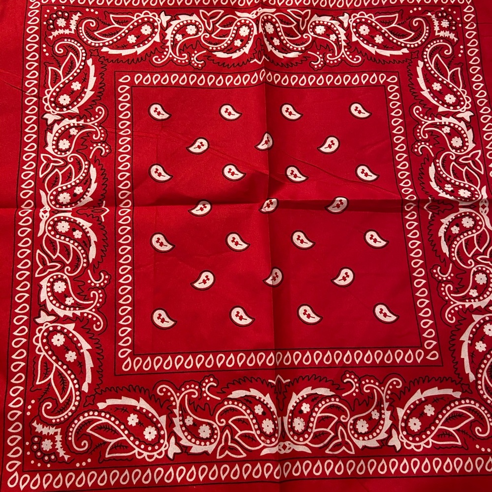 Cutest little Bandana Headbands for women and man